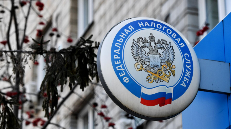 ФНС зафиксировала снижение числа иностранных компаний под контролем россиян