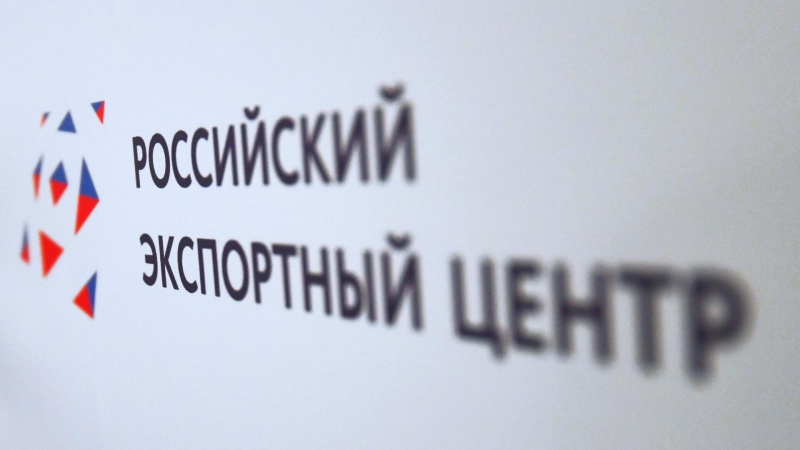 РЭЦ начинает реализацию Цифрового стандарта по экспорту