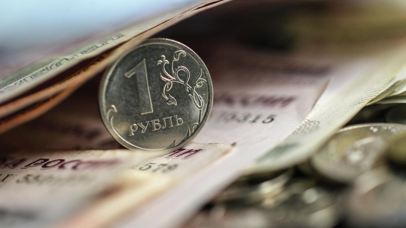 В Госдуме призвали воздержаться от спонтанной закупки валюты