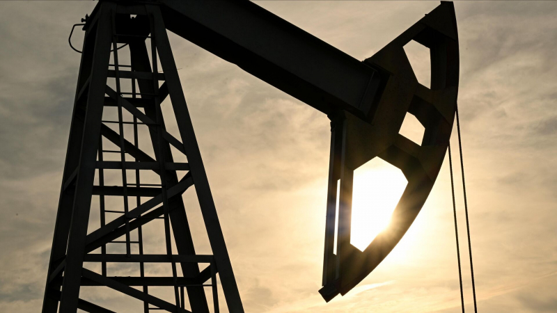 В Саудовской Аравии открыли новые залежи нефти и газа
